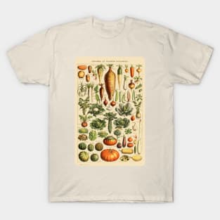 Legumes Et Plantes Potageres T-Shirt